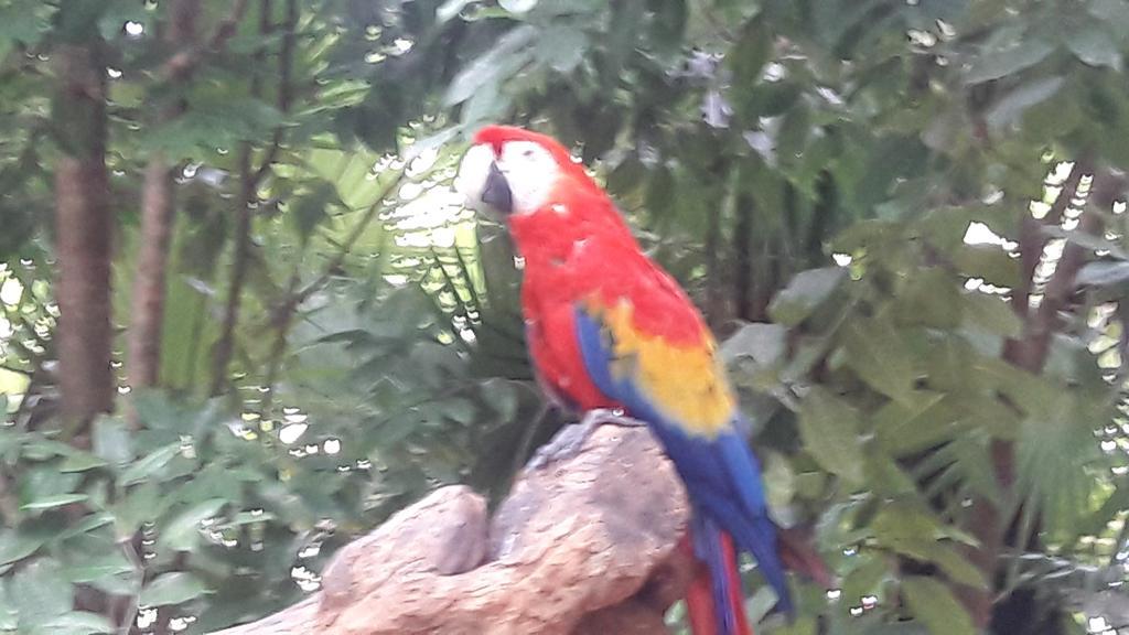 Vida Nueva Bed&Breakfast Peregrina ปลายาเดลการ์เมน ภายนอก รูปภาพ