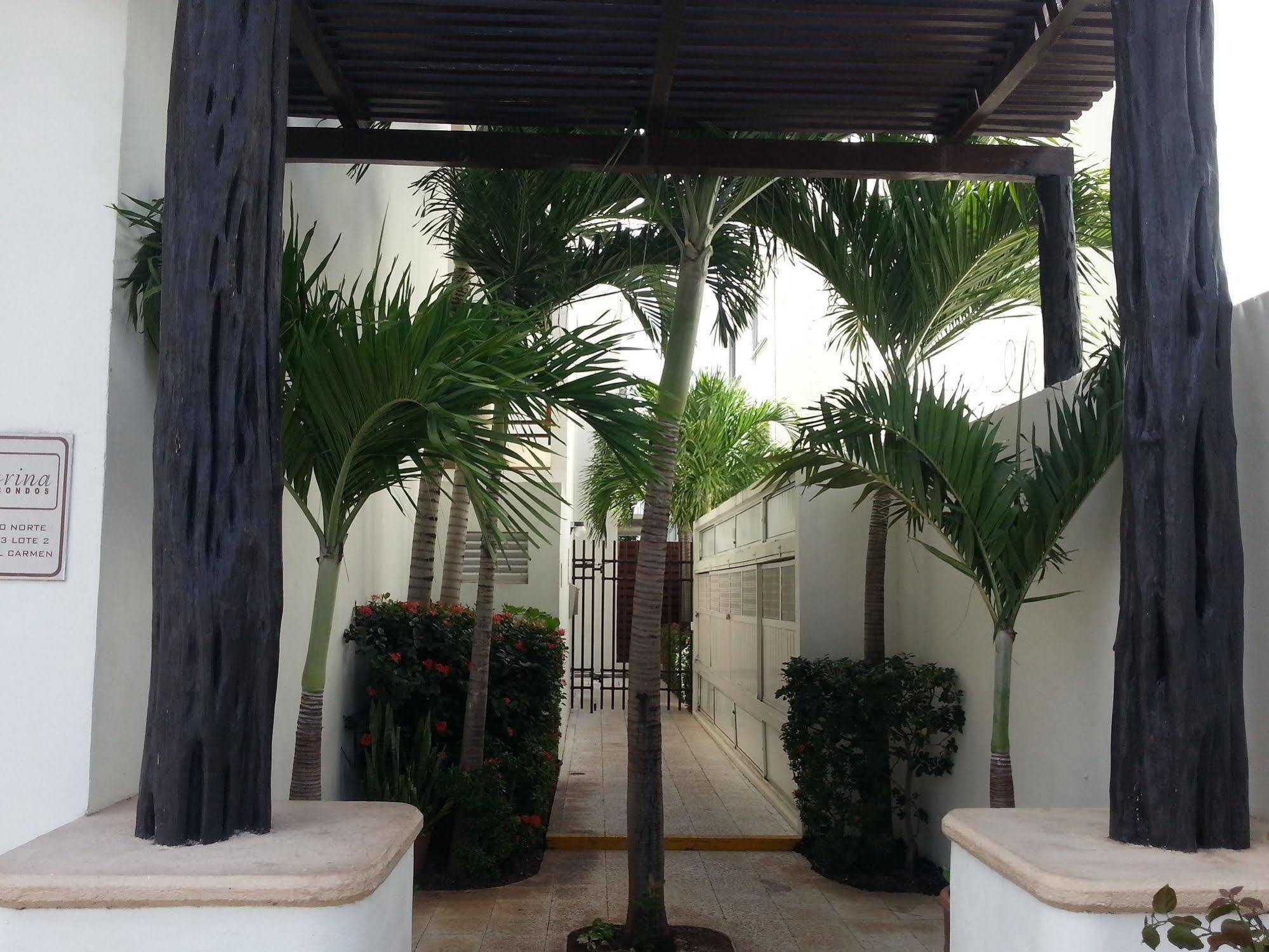 Vida Nueva Bed&Breakfast Peregrina ปลายาเดลการ์เมน ภายนอก รูปภาพ